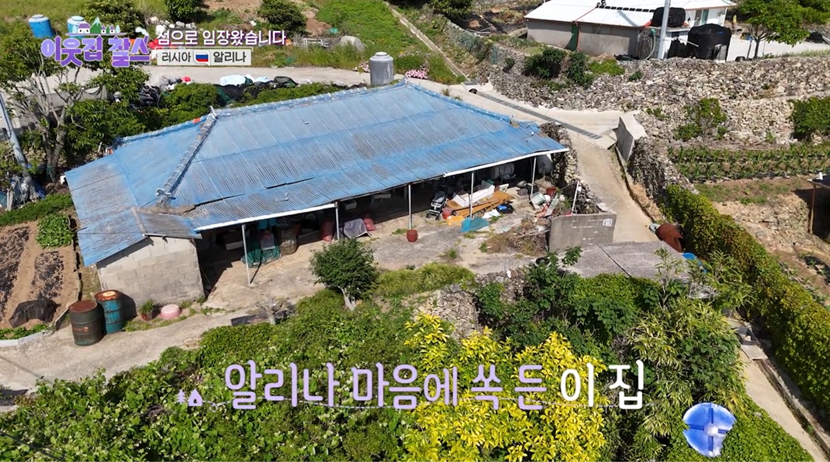 다시 섬으로 향한 알리나