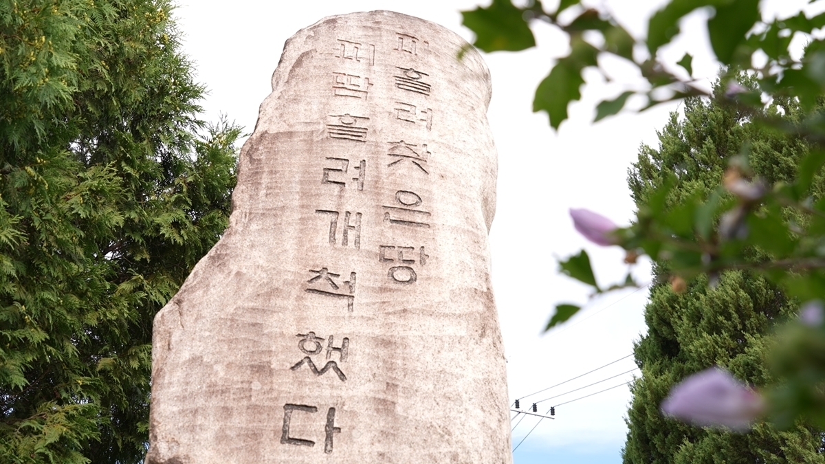 지뢰밭에서 평화를 일구다 – 대마리 마을